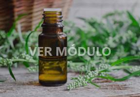 Curso aromaterapia I