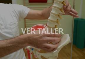 Taller de anatomía y fisiología